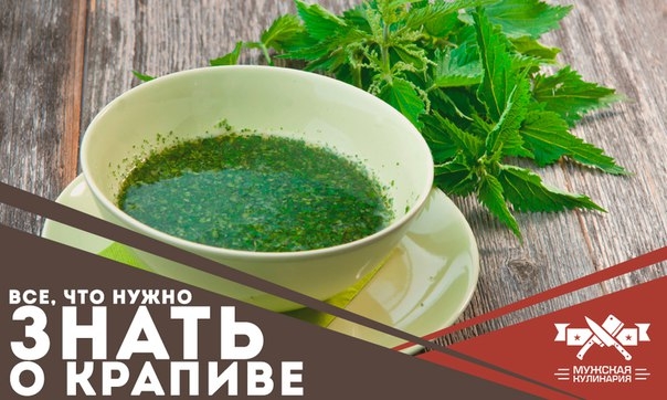 Все, что нужно знать о крапиве Все, что нужно знать о крапиве