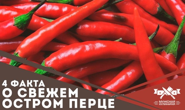 4 факта о свежем остром перце 4 факта о свежем остром перце