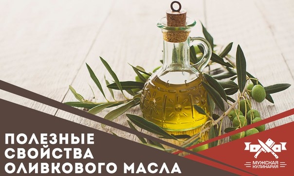 Полезные свойства оливкового масла Полезные свойства оливкового масла