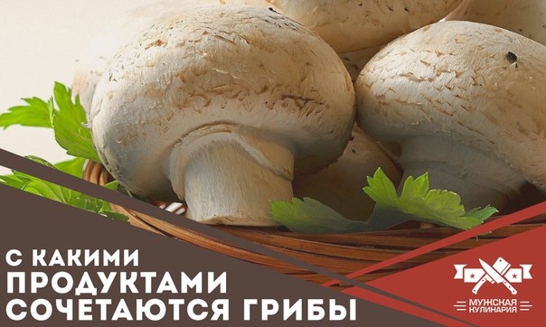 С какими продуктами сочетаются грибы С какими продуктами сочетаются грибы