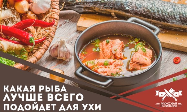 Какая рыба лучше всего подойдет для ухи Какая рыба лучше всего подойдет для ухи
