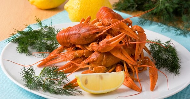 Раки по-русски Раки по-русски