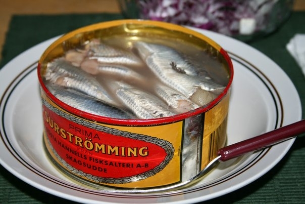 Традиционный шведский продукт — сюрстремминг Традиционный шведский продукт — сюрстремминг