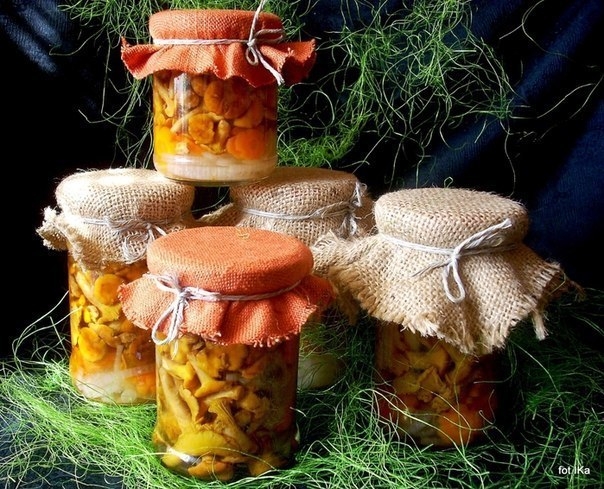 Малосольные и маринованные лисички Малосольные и маринованные лисички