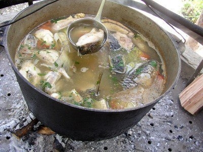 Уха классическая Уха классическая