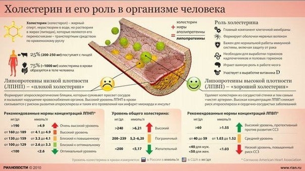 СНИЖЕНИЕ ХОЛЕСТЕРИНА НАРОДНЫМИ СРЕДСТВАМИ.