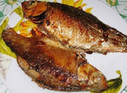 Золотые караси. Золотые караси.