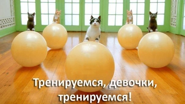 Рейтинг самых необходимых домашних тренажеров