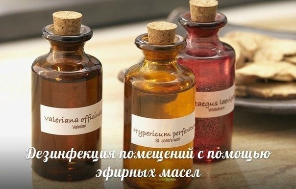 Дезинфекции помещения c помощью эфирных масел Дезинфекции помещения c помощью эфирных масел