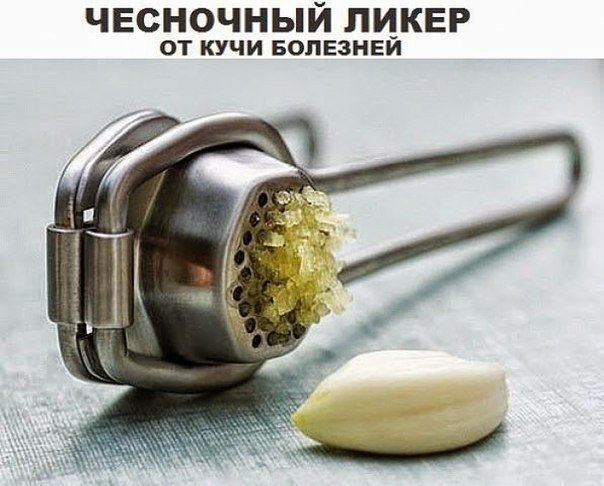 Чесночный ликер. Чесночный ликер.