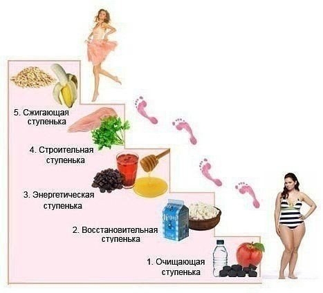ПОЭТАПНАЯ СИСТЕМА ПОХУДЕНИЯ «Лесенка» - это ступенчатая диета. ПОЭТАПНАЯ СИСТЕМА ПОХУДЕНИЯ «Лесенка» - это ступенчатая диета.