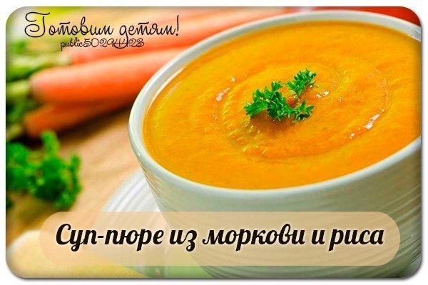 Суп-пюре из моркови и риса. Суп-пюре из моркови и риса.