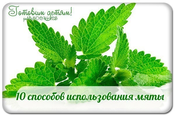 10 способов использования мяты. 10 способов использования мяты.