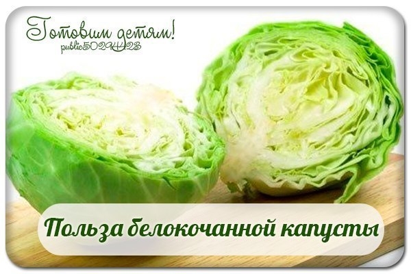 Польза белокочанной капусты. Польза белокочанной капусты.