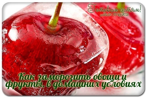 Как заморозить овощи и фрукты, ягоды и грибы в домашних условиях. Как заморозить овощи и фрукты, ягоды и грибы в домашних условиях.