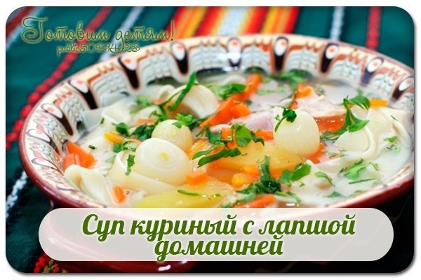 Суп куриный с лапшой домашней. Суп куриный с лапшой домашней.