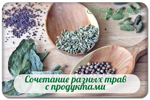 Сочетание разных трав с продуктами. Сочетание разных трав с продуктами.