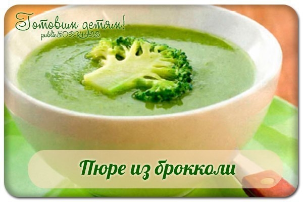 Пюре из брокколи. Пюре из брокколи.