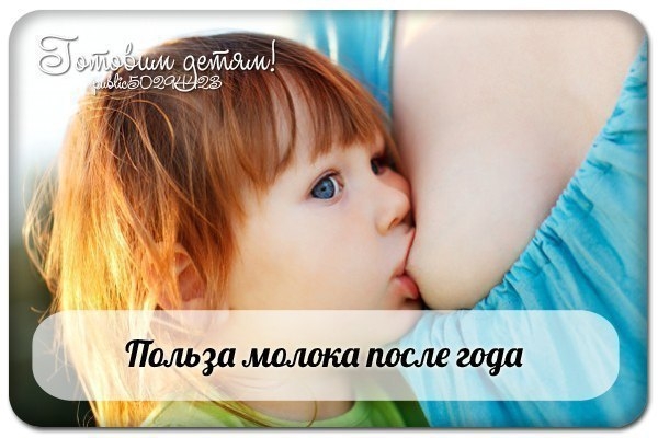 ЕСТЬ ЛИ ПОЛЬЗА В МОЛОКЕ ПОСЛЕ ГОДА ЕСТЬ ЛИ ПОЛЬЗА В МОЛОКЕ ПОСЛЕ ГОДА