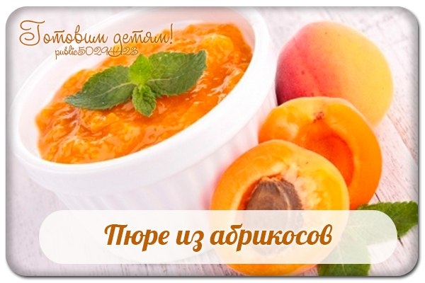 Пюре из абрикосов. Пюре из абрикосов.