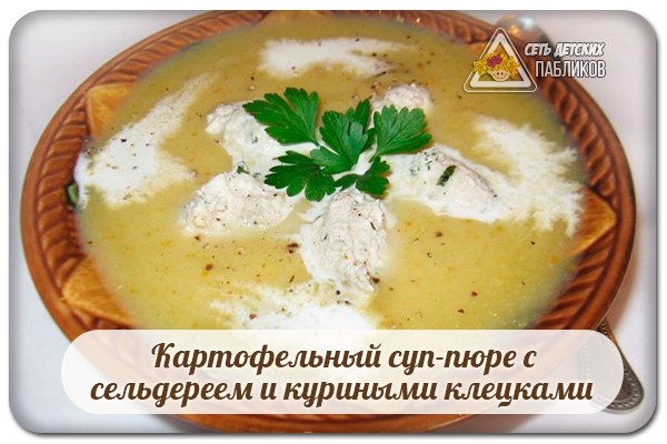 Картофельный суп-пюре с сельдереем и куриными клецками. Картофельный суп-пюре с сельдереем и куриными клецками.
