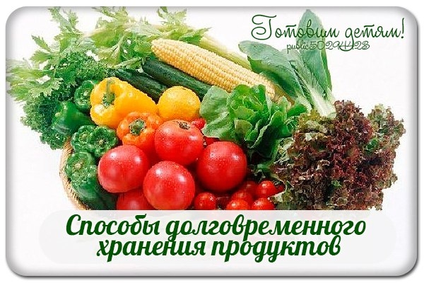 Способы долговременного хранения продуктов. Способы долговременного хранения продуктов.