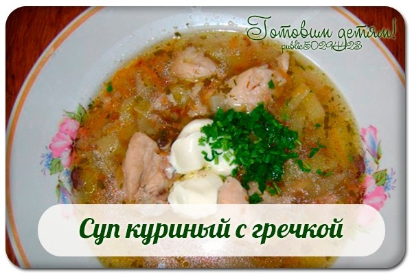 Суп куриный с гречкой. Суп куриный с гречкой.