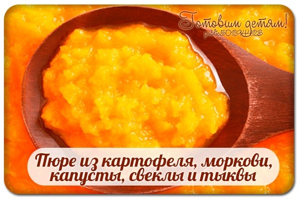 Пюре из картофеля, моркови, капусты, свеклы и тыквы. Пюре из картофеля, моркови, капусты, свеклы и тыквы.