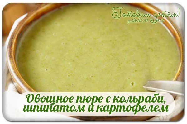 Овощное пюре с кольраби, шпинатом и картофелем Овощное пюре с кольраби, шпинатом и картофелем