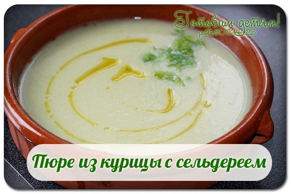 Пюре из курицы с сельдереем. Пюре из курицы с сельдереем.