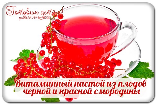 Витаминный настой из плодов черной и красной смородины. Витаминный настой из плодов черной и красной смородины.