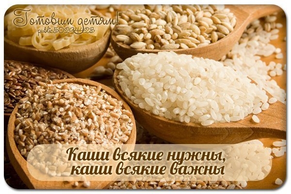 Каши всякие нужны, каши всякие важны Каши всякие нужны, каши всякие важны