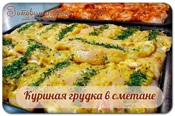 Куриная грудка в сметане. Куриная грудка в сметане.