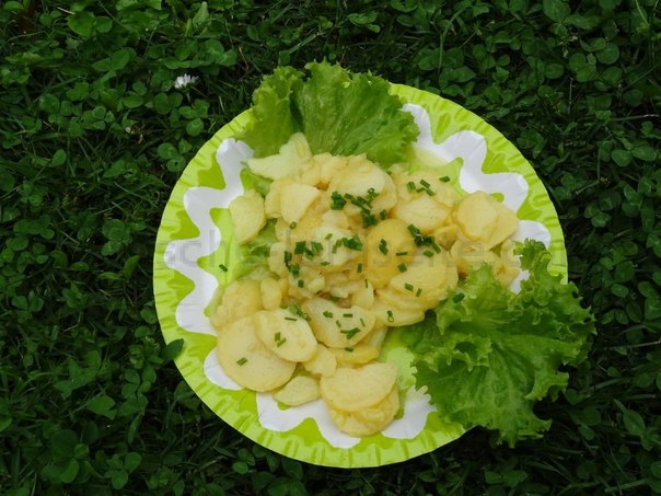 КАРТОФЕЛЬНЫЙ САЛАТИК С ЗЕЛЕНЫМ ЛУКОМ КАРТОФЕЛЬНЫЙ САЛАТИК С ЗЕЛЕНЫМ ЛУКОМ