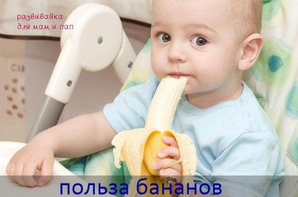 Чем полезны бананы и стоит ли их давать детям до 1 года.
