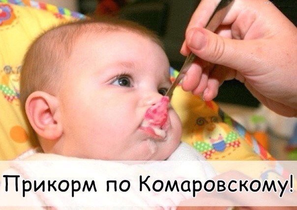 ПРИКОРМ ПО КОМАРОВСКОМУ! ПРИКОРМ ПО КОМАРОВСКОМУ!