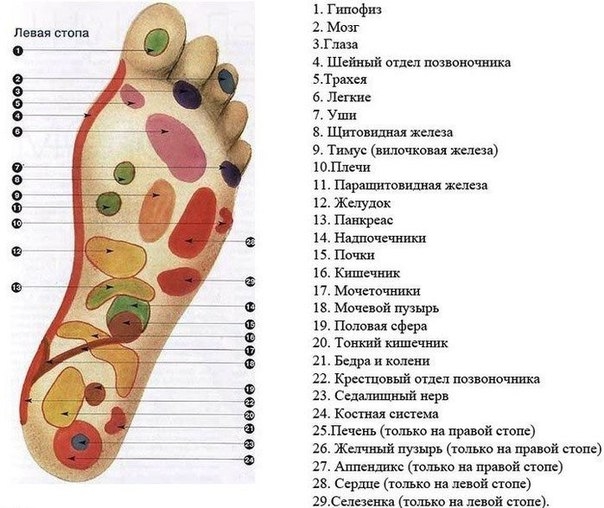 Массаж стоп необходим для улучшения здоровья и профилактики различных заболеваний!