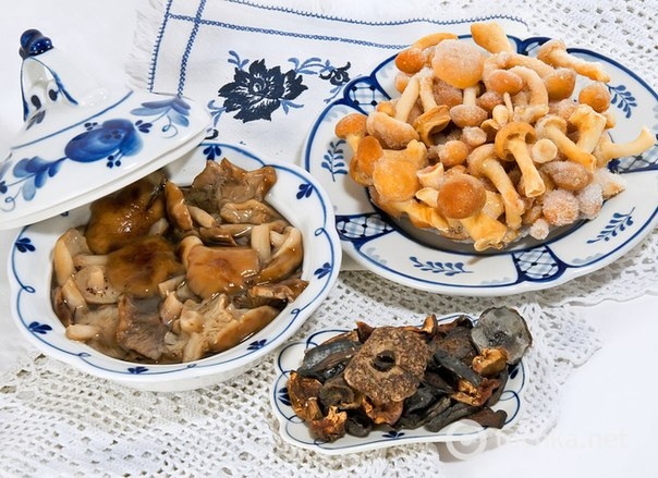 Как заморозить грибы на зиму: сохрани вкус и аромат Как заморозить грибы на зиму: сохрани вкус и аромат
