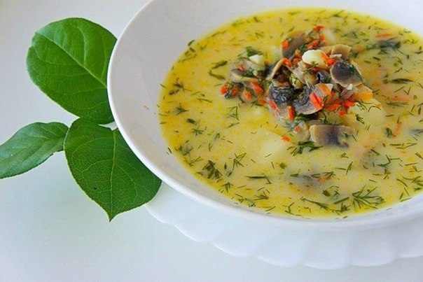 СЛИВОЧНЫЙ ГРИБНОЙ СУПЧИК