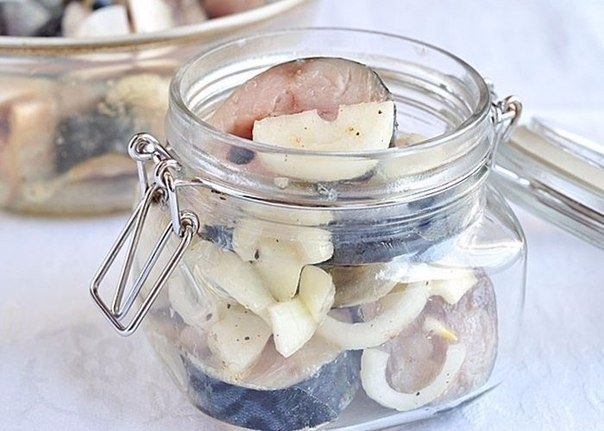 САМАЯ ВКУСНАЯ МАРИНОВАНАЯ СКУМБРИЯ САМАЯ ВКУСНАЯ МАРИНОВАНАЯ СКУМБРИЯ