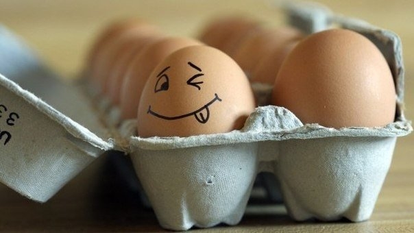 6 полезных свойств куриных яиц, о которых важно знать! 6 полезных свойств куриных яиц, о которых важно знать!