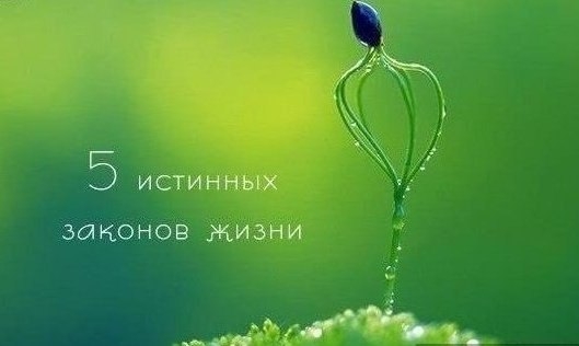 5 истинных законов жизни: 5 истинных законов жизни: