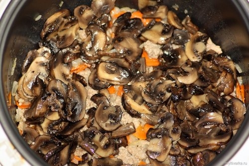Гречневая каша с грибами и мясом в мультиварке Гречневая каша с грибами и мясом в мультиварке
