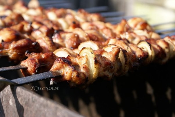 Шашлык из курицы в грейпфруте. Шашлык из курицы в грейпфруте.