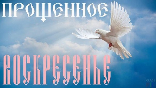 Сегодня у всех попрошу я прощения