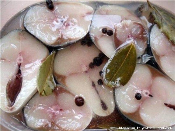 Соленная скумбрия
