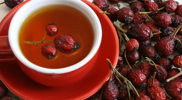 КАК ПРАВИЛЬНО ЗАВАРИТЬ ШИПОВНИК И СОХРАНИТЬ ВИТАМИНЫ КАК ПРАВИЛЬНО ЗАВАРИТЬ ШИПОВНИК И СОХРАНИТЬ ВИТАМИНЫ