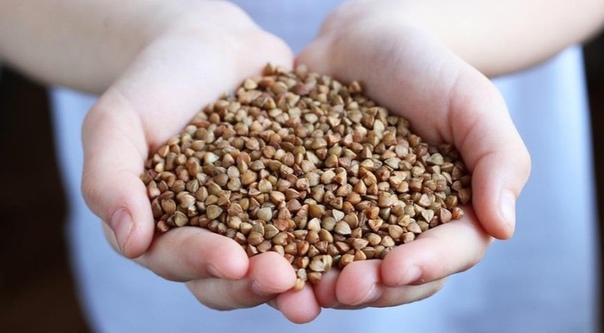 КАК ВЫБРАТЬ ХОРОШУЮ ГРЕЧКУ В МАГАЗИНЕ