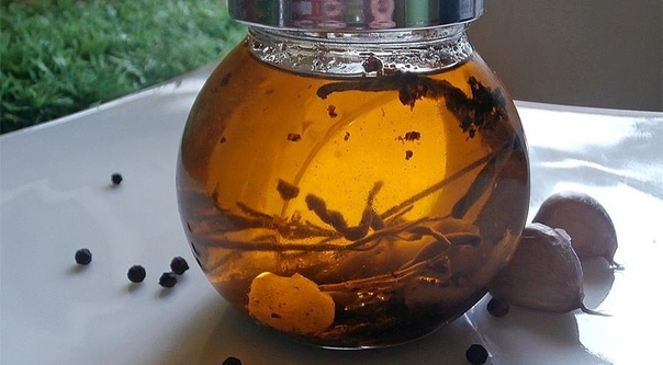 ОБЛЕПИХОВОЕ МАСЛО ДЛЯ ЗДОРОВЬЯ И КРАСОТЫ ОБЛЕПИХОВОЕ МАСЛО ДЛЯ ЗДОРОВЬЯ И КРАСОТЫ