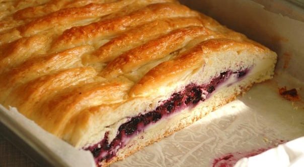 Плетенка на сметанном тесте с творогом и сливой или черникой